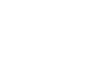 chisholm security 